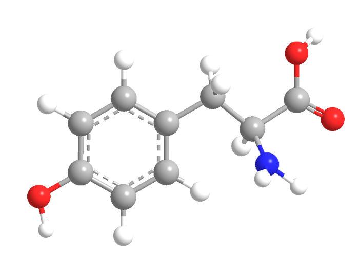 3D Image of L-Tyrosine