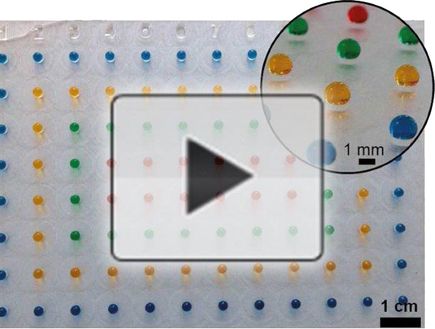 Moving diagnostics out of the microwell (video) image