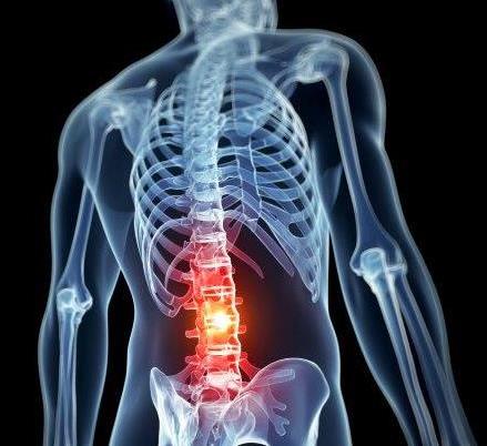Hydrogel scaffold helps repair injured spinal cord image
