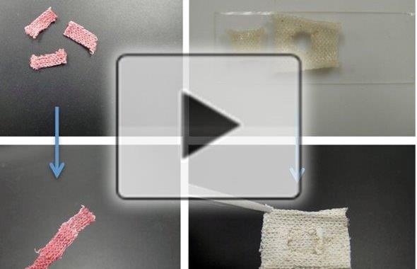  Toward clothes that fix their own rips (video) image