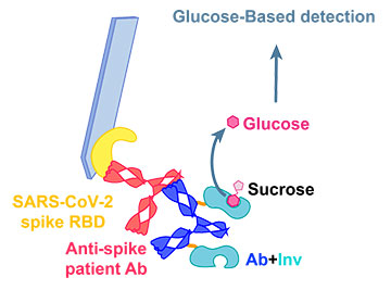A glucose meter could soon say whether you have SARS-CoV-2 antibodies *Instant Replay" image