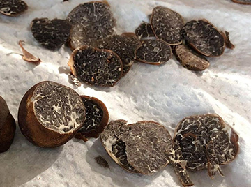 What makes the ‘Appalachian truffle’ taste and smell delicious image