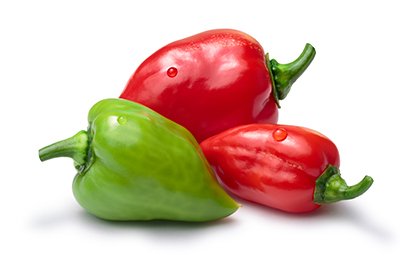 How habanero peppers respond to stress image