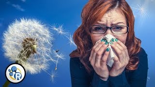 Why Do We Get Allergies? image