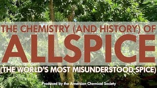 The World's Most Misunderstood Spice: Allspice image