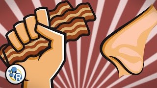 Why Does Bacon Smell So Good? image