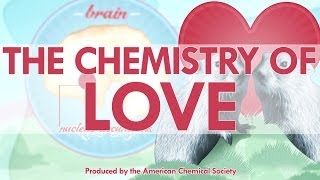 The Chemistry of Love image
