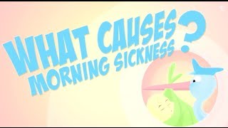What causes morning sickness? image