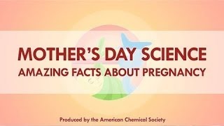 4 Amazing Science Facts about Pregnancy image
