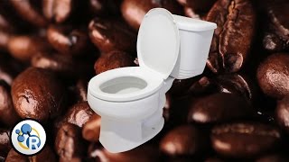 Why Does Coffee Make You Poop? image