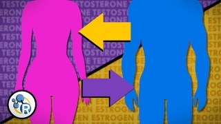 Hormones and Gender Transition image