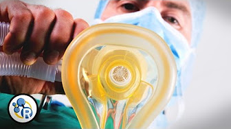 What Happens When You Go Under? How Anesthesia Works image