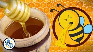 Honey is Really Bee Puke image