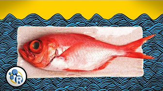 How To Make Fish Less Fishy (Chemistry Life Hacks)  image