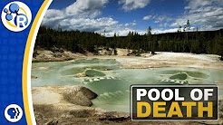 Yellowstone Steaming Acid Pools of Death image