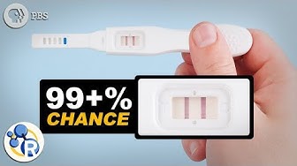How Do Pregnancy Tests Work? image