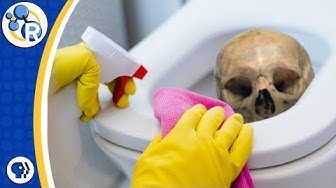 Death By Toilet Bowl Cleaning? image