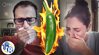 How to Beat Spicy Pepper Heat (Hint: Milk Isn't the Best) image