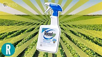 Why isn’t weed killer working anymore? image